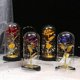 thumbnail image 3 of Kit de rosas eternas, belleza y animales, en cúpula de cristal, luces Led, flores artificiales, regalos de rosas para mujer, regalo para mamá, 3 of 5