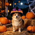 thumbnail image 5 of AuroraX Dog Halloween Costume Set Dog Costumes Halloween Small 3 Pcs Soft Stretchy Adjustable Lightweight Pet Halloween Costume National Dog Day, 5 of 6