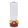 thumbnail image 1 of Farol Perky-Pet 201 para comederos para colibríes, 530 ml, color rojo, 1 of 5