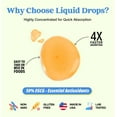 thumbnail image 5 of Drops of Nature Green Tea Extract 1000mg Drops for Antioxidant Boost, Pineapple Flavor, 2 fl oz, 5 of 12