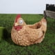 thumbnail image 3 of Maceta de pollo para jardín con luz solar, portalápices, adornos, estatuilla para exteriores marrón Cola Figuras decorativas de patio, 3 of 7