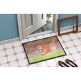 thumbnail image 4 of Carolines Treasures BB7439JMAT Squirrel Watercolor Doormat 24x36 36"L x 24"W multicolor, 4 of 4