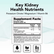 Theralogix TheraLith XR Vitamin & Mineral Supplement - Supports Healthy Urine Chemistry & Calcium Oxalate Levels with Magnesium, Vitamin B6 & Potassium* - NSF Certified - 360 Tablets