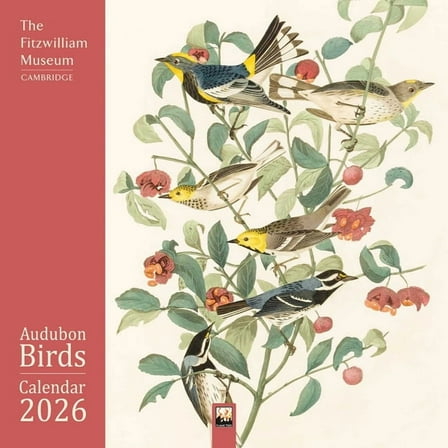 Fitzwilliam Museum: Audubon Birds Wall Calendar 2026 (Art Calendar), (Paperback)
