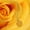 Yellow, variant on Everlasting Elegance: Real Rose Resin Necklace (Unique Gift for Her)