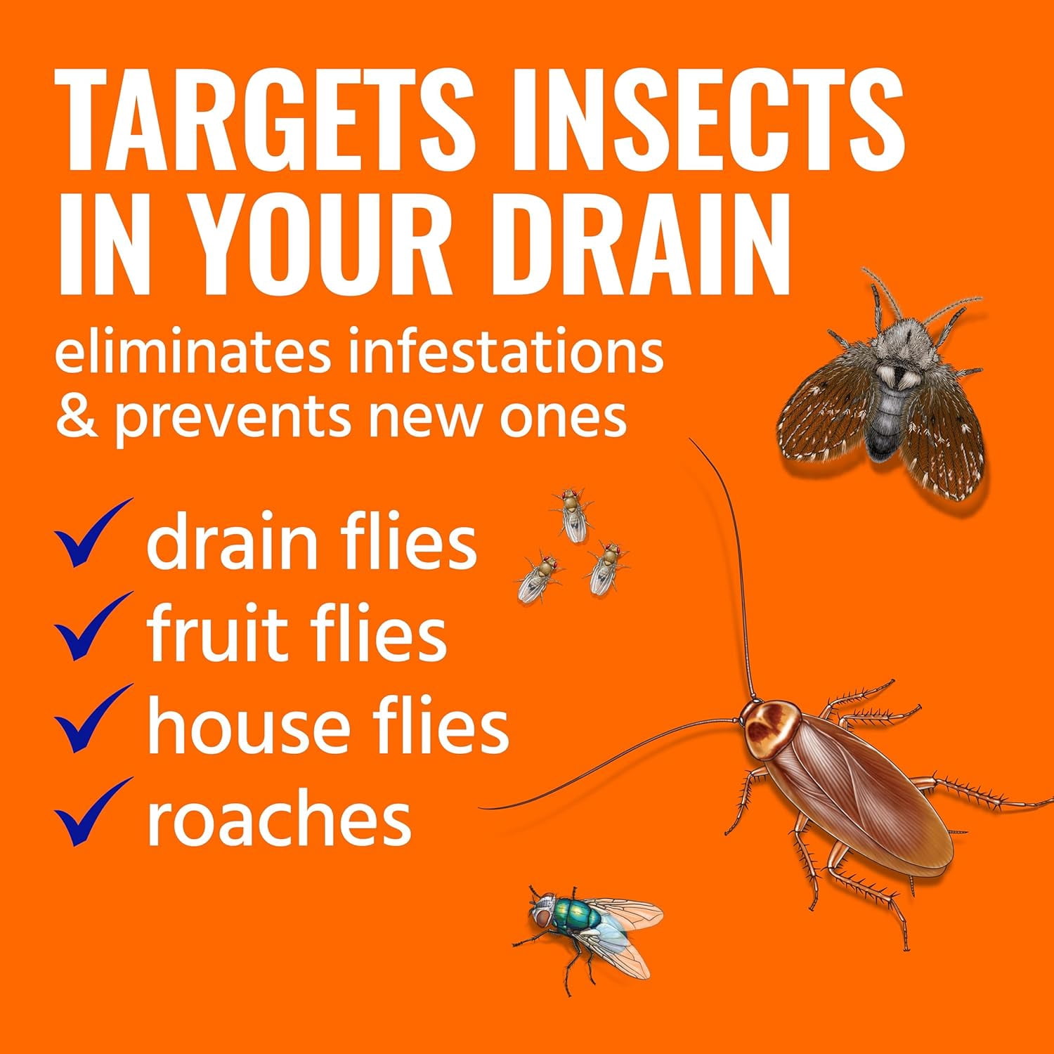 Drain Insect Killer - T590 Drain Fly Killer Spray - Foam Treatment for Fruit Flies, House Flies, and Cockroaches