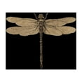 thumbnail image 3 of CafePress - Dragonfly Vintage Pajamas - Women's Dark Pajamas, 3 of 4