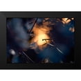 thumbnail image 2 of Bravin, Fabien 24x17 Black Modern Framed Museum Art Print Titled - Wormhole Distorsion, 2 of 5