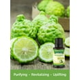 thumbnail image 5 of Nature's Truth Bergamot Essential Oil | 15 mL | 100% Pure | Natural & Undiluted | GC/MS Tested | for Aromatherapy, 5 of 6