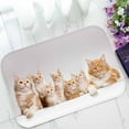 thumbnail image 1 of YUSDECOR red little kittens Home Decor Floor Mat Area Rug Doormat Size 15.7x23.6 Inches, 1 of 1