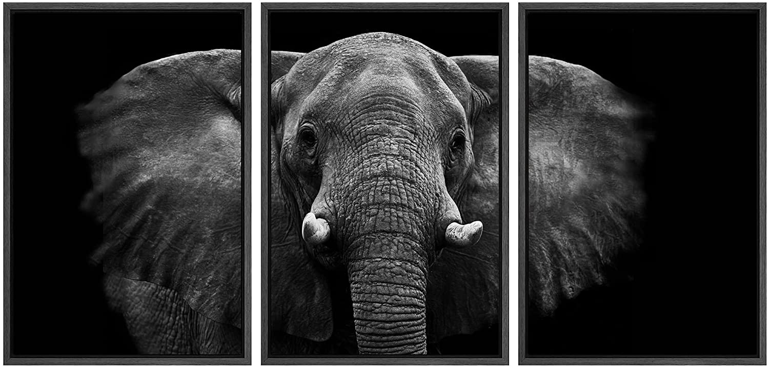 wall26 Framed Canvas Print Wall Art Set Black and White Elephant