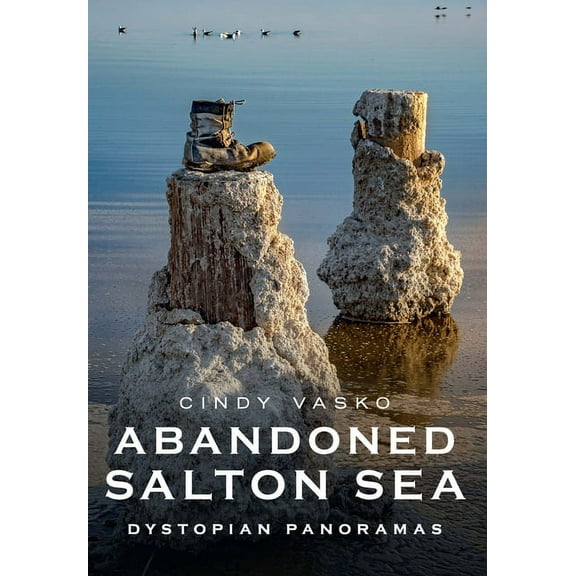 Abandoned Salton Sea: Dystopian Panoramas (Paperback)