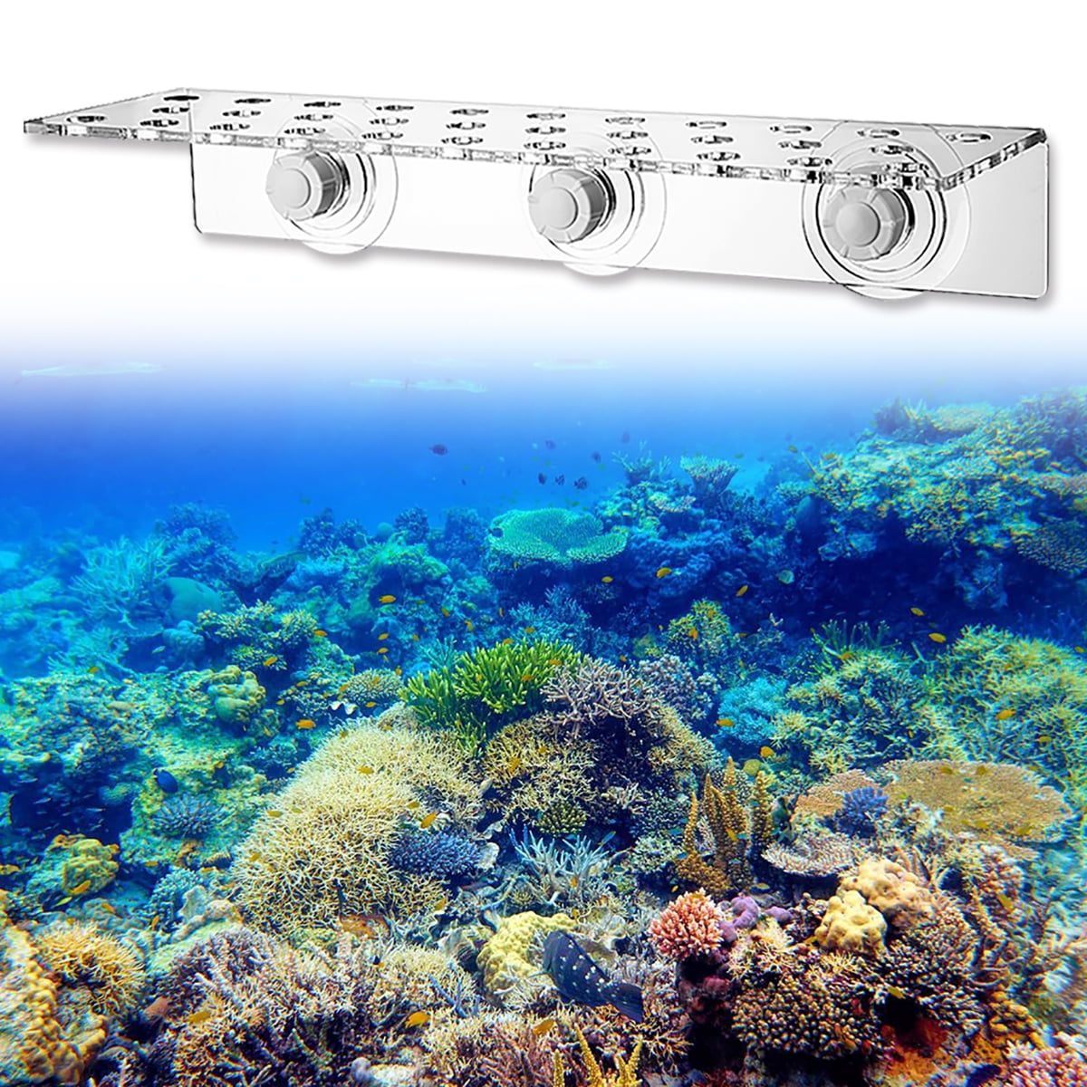 Coral Rack Acrylic Coral Frag Rack 13 Hole Coral Bracket Fish Tank Aquarium Plant Holder with Suction Cup