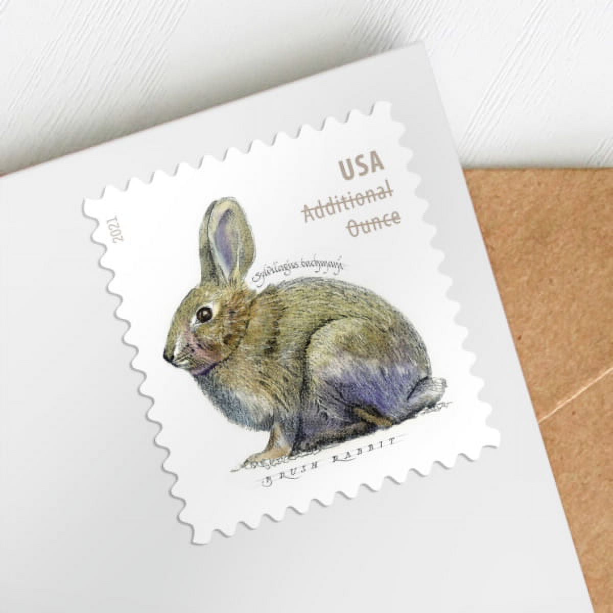 Brush Rabbit ADDITIONAL OUNCE Rate USPS Postage Stamp 1 Sheet of 20 US First Class Postal Country Farm Wedding Celebration Anniversary Party (20 Stamps)
