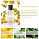 thumbnail image 2 of Luxurious Women's Perfume - Fine Fragrance Eau De Toilette EDT Spray, 1.7FL.OZ, 2 of 4