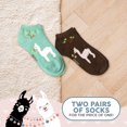 thumbnail image 2 of Foozys Women’s Low Cut No Show Socks | Alpaca Cute Animal Themed Fashion Novelty Socks | 2 Pairs Included in Two Colors, 2 of 5