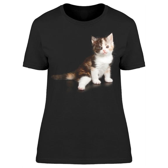 Shorthair Kitten: Posing T-Shirt Women -Image by Shutterstock, Female Large