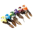 thumbnail image 4 of 6Pcs Colorful Artificial Birds with Feathers, Clip On Fake Birds for Decoration, Realistic Simulation Birds Ornaments, Garden Yard Tree Hanging Decorations, Indoor Outdoor Decorative Birds, 4 of 7