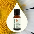 thumbnail image 3 of Plant Therapy German Chamomile Essential Oil 100% Pure, Undiluted, Natural Aromatherapy 10 mL (1/3 oz), 3 of 8
