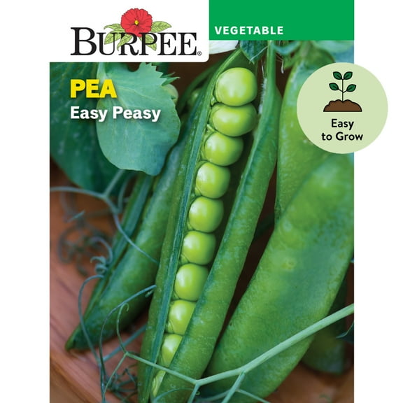 Burpee Easy Peasy Pea Seeds - Non-GMO, Shelling Pea, Easy to Grow, Vegetable Gardening Seeds, 18g, 1-Pack