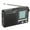 3, variant on Campus Radio Band Portable Radio with Superior Sound Quality and PVC Panel - Battery Operated