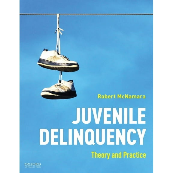 Juvenile Delinquency: Theory to Practice, (Paperback)