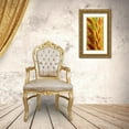 thumbnail image 3 of Manlove, David 9x14 Gold Ornate Wood Framed with Double Matting Museum Art Print Titled - Flower Petals, 3 of 4