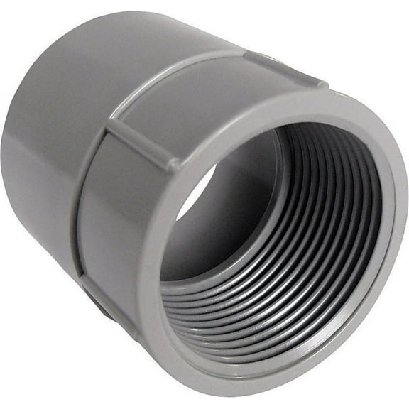Cantex Conduit Fitting Adapter, 1-1/4 in, Threaded, PVC, PVC Coated 5140046