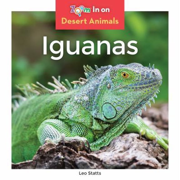 Pre-Owned Iguanas