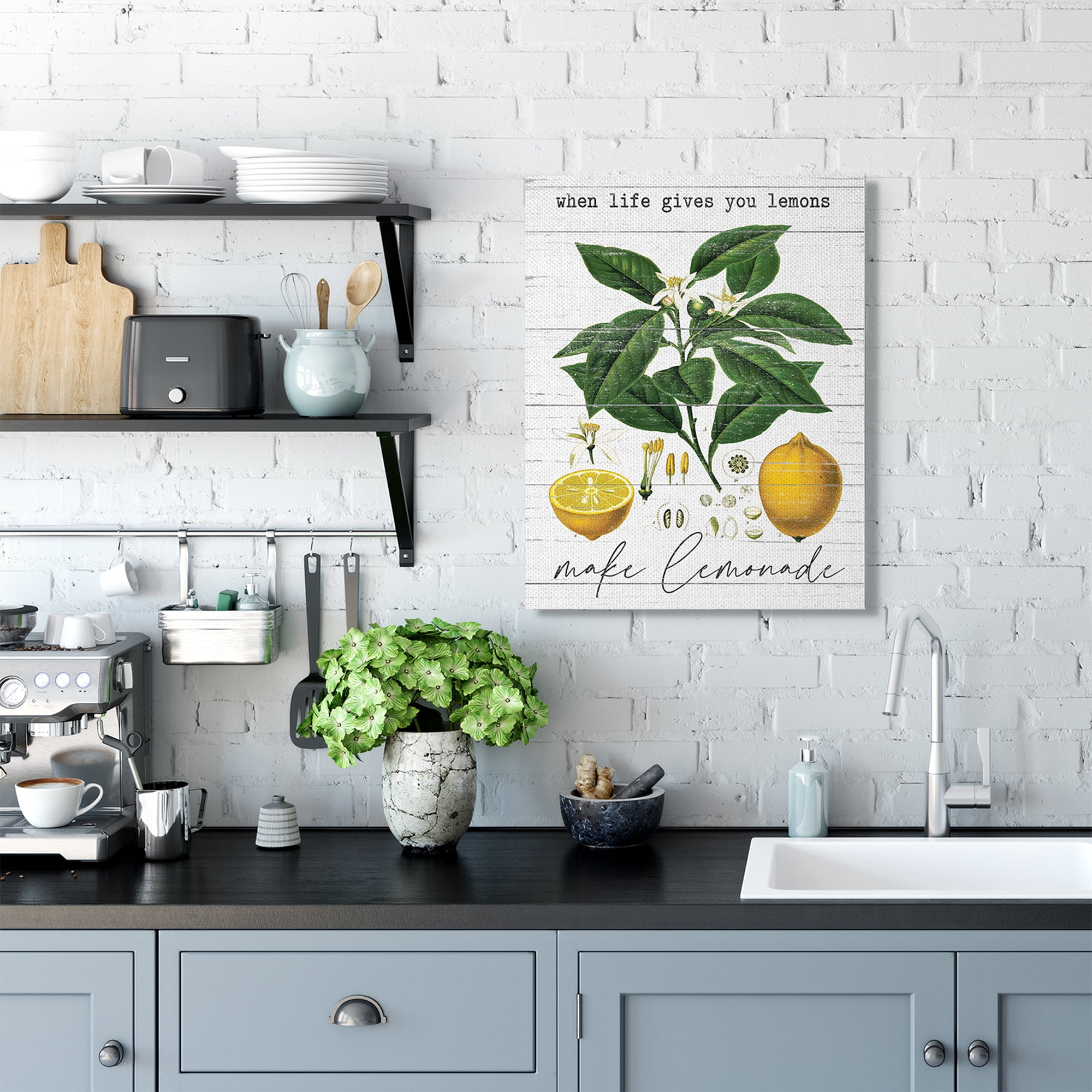 Stupell Industries Life Gives Lemons Quote Country Fruit Anatomy Canvas Wall Art by Lettered and Lined