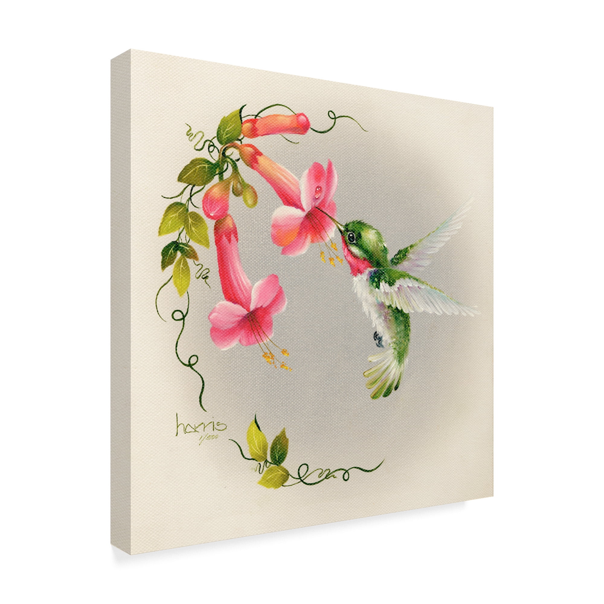 Trademark Fine Art 'Hummingbirds With Trumpet Flowers' Canvas Art by Peggy Harris