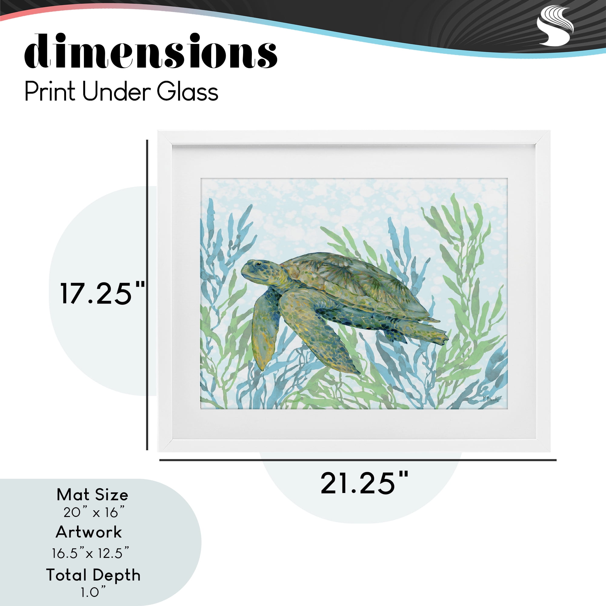 Stupell Industries Tasman Turtle in Seagrass White Framed Print Under Glass, design by Paul Brent