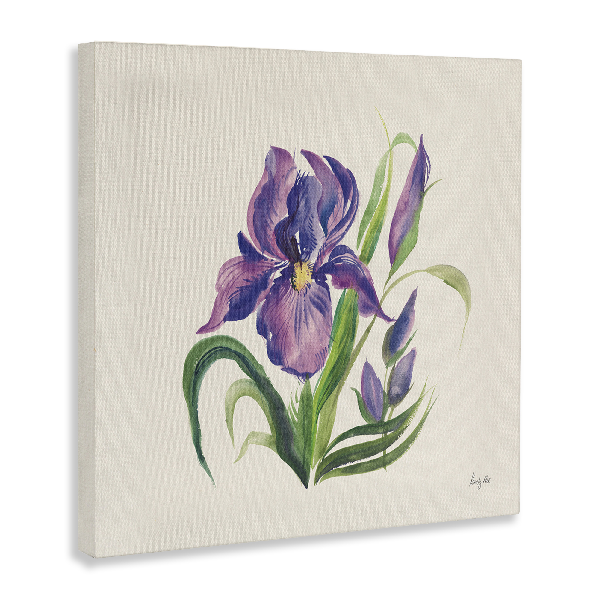 Stupell Industries Purple Iris Flower Botanical & Floral Painting Gallery Wrapped Canvas Art Print Wall Art, 30 x 30