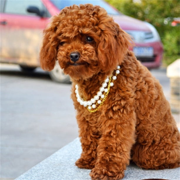 Xihbxyly Collar de Perlas para Perro, Hecho a Mano con Perlas Artificiales y Diamantes de Imitación, Cierre Ajustable para Un Ajuste Fácil, Elegante Collar Brillante, Joya para Cachorros para Fiestas