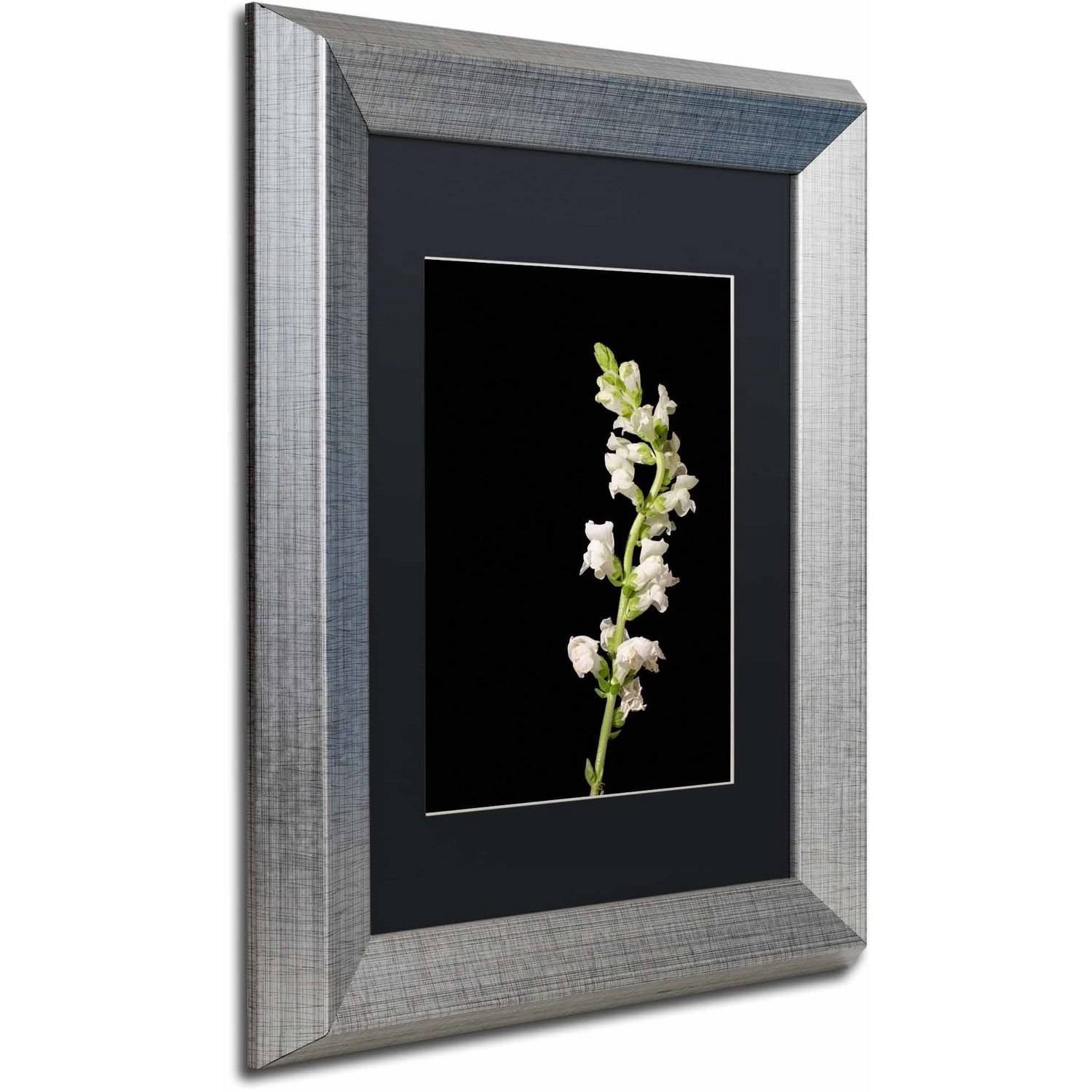Trademark Fine Art 'White Snapdragons' Canvas Art by PIPA Fine Art, Black Matte, Silver Frame