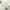 Cream - Light Filtering, variant on LazBlinds Top Down Bottom Up (TDBU) Cordless Cellular Shades, Light Filtering Honeycomb Shades Pleated Blinds for Windows, 34" W x 64" H, White