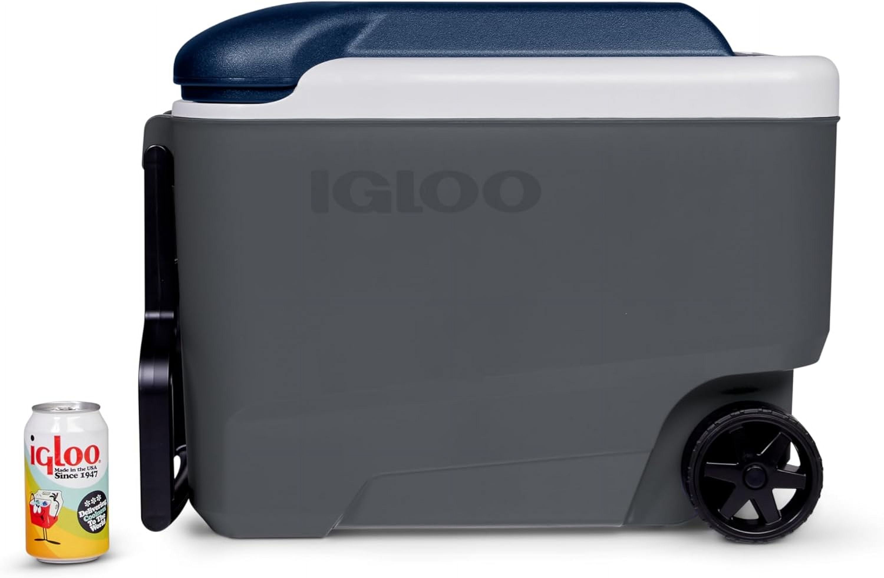 Igloo Maxcold 40 Roller (Ash Gry.Wht.Aegean Sea.Blk) 00034814, 38 Litre