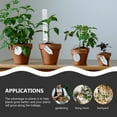 thumbnail image 3 of BERTDOMD 12-Pack Plastic Moss Poles for Climbing Plants, Vines Support Garden Plant Trellis Stakes, 3 of 6