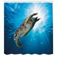 thumbnail image 3 of Ambesonne Under the Sea Shower Curtain, Sea Turtle Diving, 69"Wx70"L, Yellow Brown Blue, 3 of 3