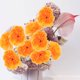 thumbnail image 1 of CATIEBYE 50Ud Cabezas De Flor Marigold Artificial Para De Pared Y Ramos, 1 of 5