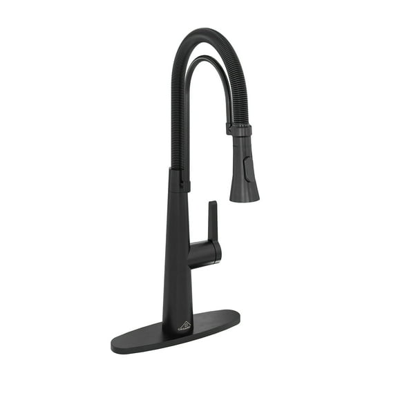 CASAINC Single Handle Kitchen Faucet with Pull Down Sprayer, Deck Mounted, Matte Black