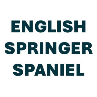 English Springer Spaniel Pill Butter