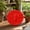 C, variant on Snmubt Reusable Pumpkin Shaped Stepping Stone Mold, Silicone Concrete Mold for Garden Stepping Stones, DIY Garden Pathway Pavers for Outdoor