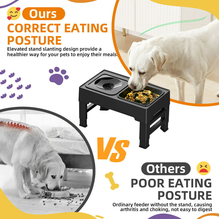 Elevated Dog Bowls with Adjustable Height, Food and Water Bowl