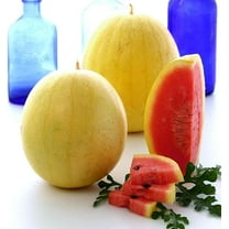 Golden Midget Watermelon Seeds - 2 Gram ~28 Seeds - Heirloom, Open Pollinated, Non-GMO, Farm & Vegetable/Fruit Gardening Seeds