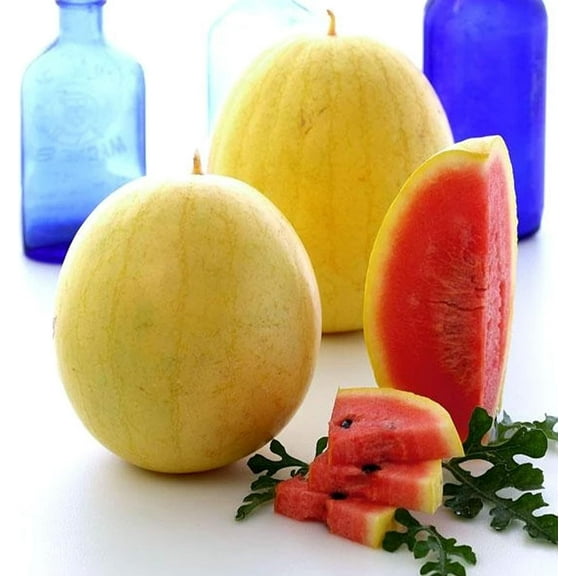 Golden Midget Watermelon Seeds - 2 Gram ~28 Seeds - Heirloom, Open Pollinated, Non-GMO, Farm & Vegetable/Fruit Gardening Seeds