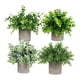 thumbnail image 2 of 4 piezas de plantas falsas Soledad en maceta bonsái artificial Estilo A, 2 of 10