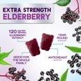 thumbnail image 4 of Elderberry Immune Support Gummies - Powerful Black Elderberry Extract Sambucus Nigra Vitamin Supplement - Natural Daily Immune Support Adults & Kids Ages 4+ Love - Delicious Berry Flavor - 60 Gummies, 4 of 10