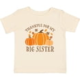 thumbnail image 3 of Inktastic Thankful for My Big Sister Boys or Girls Baby T-Shirt, 3 of 5
