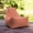 Flamingo, variant on Jaxx Juniper Jr Outdoor Kids Bean Bag Chair, Light Blue
